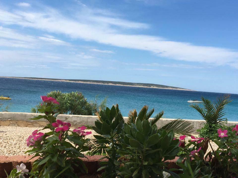 Apartmani Filip Mandre Buitenkant foto